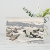 ヴィンテージのハープシール北極雪Louis Fuertes (スタンド正面)