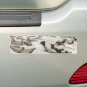 ヴィンテージのハープシール北極雪Louis Fuertes バンパーステッカー (車上)