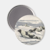 ヴィンテージのハープシール北極雪Louis Fuertes マグネット (正面/裏面)