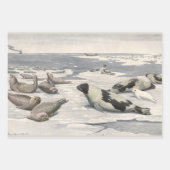 ヴィンテージのハープシール北極雪Louis Fuertes ラッピングペーパーシート (正面)