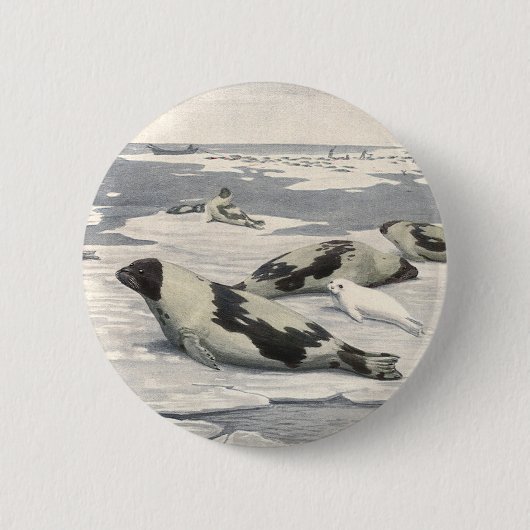 ヴィンテージのハープシール北極雪Louis Fuertes 缶バッジ (正面)