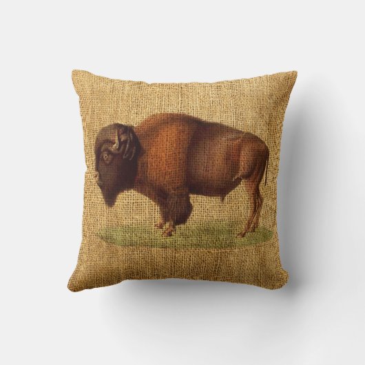 ヴィンテージのバイソンのアメリカのバッファローのイラストレーション クッション (裏面)