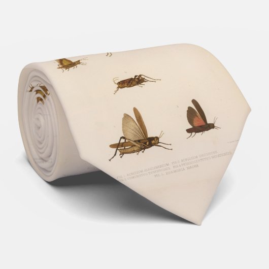 ヴィンテージのバッタの図表(1875年) ネクタイ (ロール)