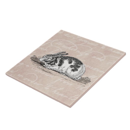 ヴィンテージのバニーウサギのイラストレーション- 1800'sウサギ タイル (側面)