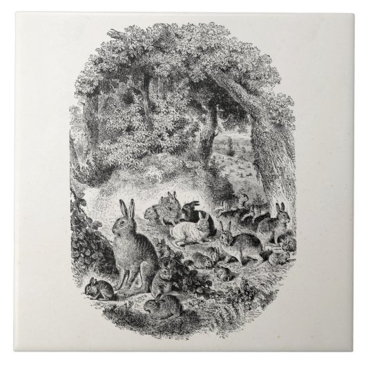 ヴィンテージのバニーウサギの19世紀のバニーウサギ タイル (正面)