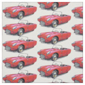 ヴィンテージのバークレーT60車の生地 ファブリック (見本)