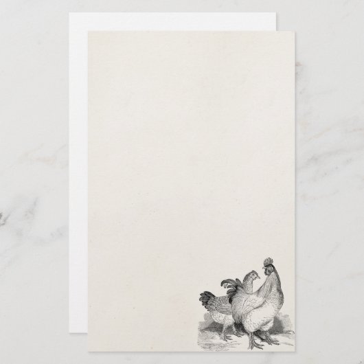 ヴィンテージのパーソナライズな鶏のオンドリのコシャンの鳥 便箋 (正面/裏面)