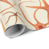 ヴィンテージのヒトデのイラストレーション ラッピングペーパー (ロールコーナー)