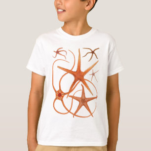 ヴィンテージのヒトデのイラストレーション Tシャツ
