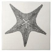 ヴィンテージのヒトデの旧式な星の魚のテンプレート タイル (正面)