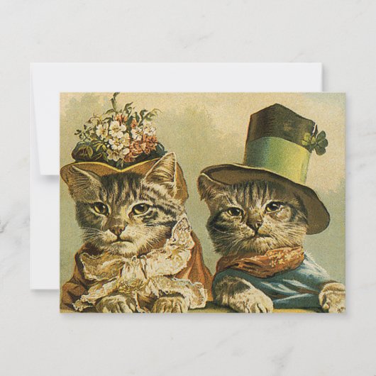 ヴィンテージのビクトリアン帽子をかぶった新郎猫 (正面)