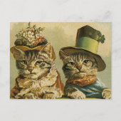 ヴィンテージのビクトリアン帽子をかぶった新郎猫 ポストカード (正面)