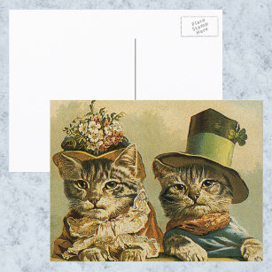 ヴィンテージのビクトリアン帽子をかぶった新郎猫 ポストカード