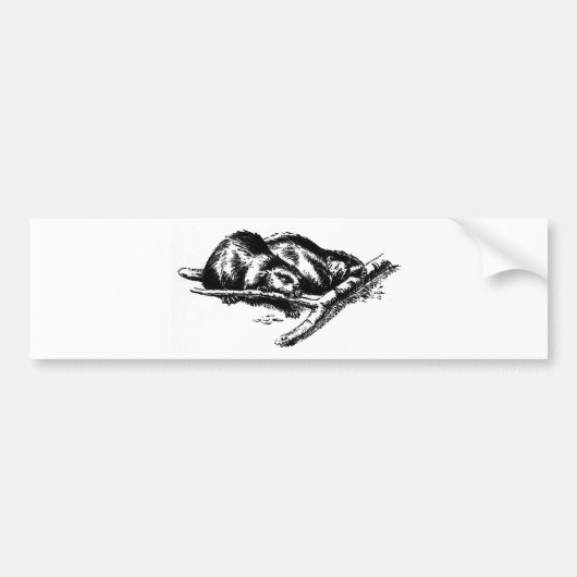 ヴィンテージのビーバー バンパーステッカー (正面)