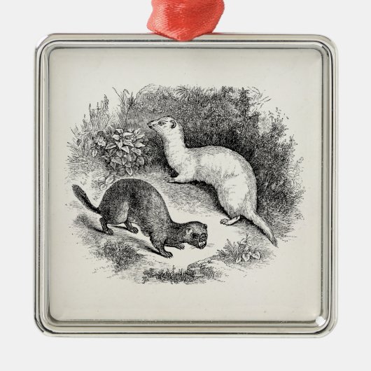 ヴィンテージのフェレットの19世紀のフェレットのイタチのミンク メタルオーナメント (正面)