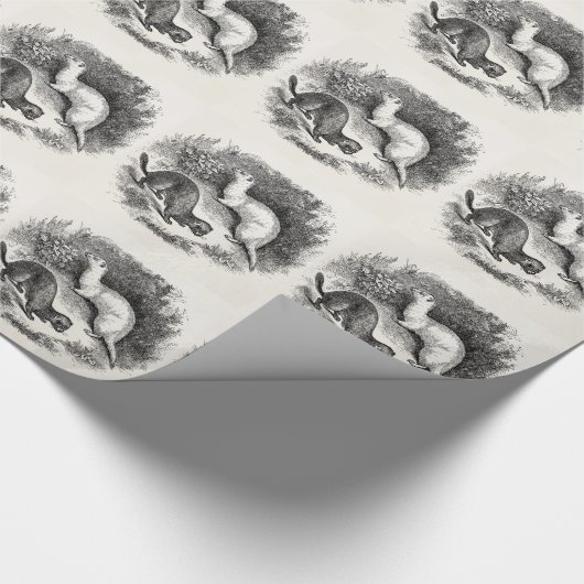 ヴィンテージのフェレットの19世紀のフェレットのイタチのミンク ラッピングペーパー (角)