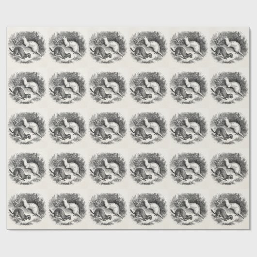 ヴィンテージのフェレットの19世紀のフェレットのイタチのミンク ラッピングペーパー (フラット)