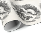 ヴィンテージのフェレットの19世紀のフェレットのイタチのミンク ラッピングペーパー (ロールコーナー)