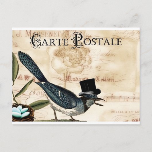 ヴィンテージのフランスので黒い上の雄鹿のブルーバードの郵便はがき ポストカード (正面)
