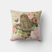 ヴィンテージのフランスのなぼろぼろのシックなフクロウの枕 クッション (正面)