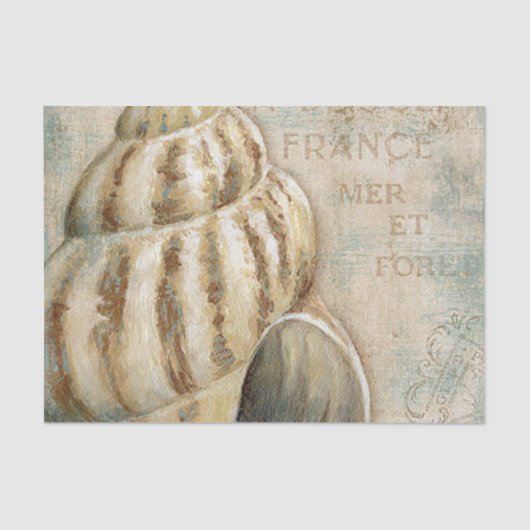 ヴィンテージのフランスのなコンシュの貝 薄葉紙 (正面)