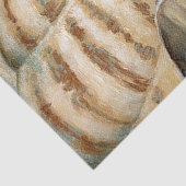 ヴィンテージのフランスのなコンシュの貝 薄葉紙 (詳細)