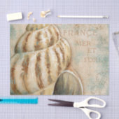 ヴィンテージのフランスのなコンシュの貝 薄葉紙 (クラフト)