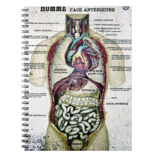 ヴィンテージのフランスのな解剖学のノート ノートブック (正面)