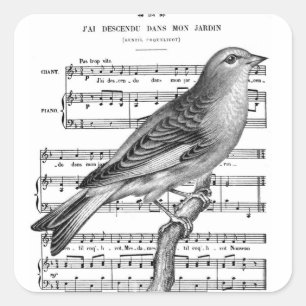 ヴィンテージのフランスのな鳥の歌音楽正方形のステッカー スクエアシール