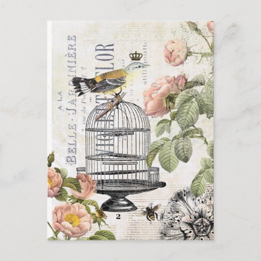 ヴィンテージのフランスのな鳥の郵便はがき ポストカード (正面)