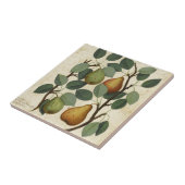 ヴィンテージのフルーツのナシの植物のプリント タイル (側面)