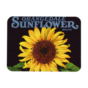 ヴィンテージのフルーツの木枠のラベルの芸術のOrangedaleのヒマワリ マグネット