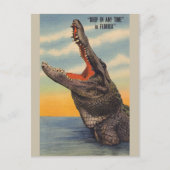 ヴィンテージのフロリダのわに郵便はがき ポストカード (正面)