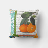 ヴィンテージのフロリダのオレンジフルーツの台所枕 クッション (裏面)