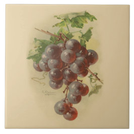 ヴィンテージのブドウ タイル