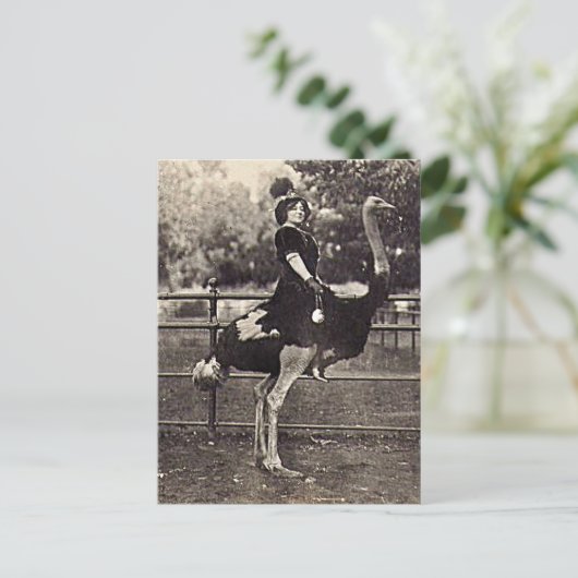 ヴィンテージのブロードウェイ女優がダチョウに乗る ポストカード (スタンド正面)