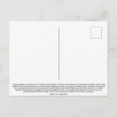 ヴィンテージのブードゥーマクベスの1936年の郵便はがき 案内ポストカード (裏面)