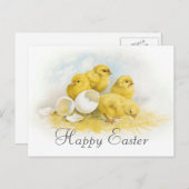 ヴィンテージのベビーの鶏 シーズンポストカード (正面/裏面)