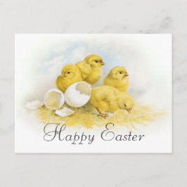 ヴィンテージのベビーの鶏 シーズンポストカード