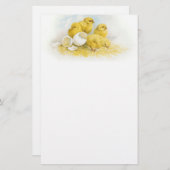 ヴィンテージのベビーの鶏 便箋 (正面/裏面)