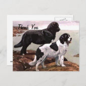 ヴィンテージのペイントされたニューファンドランドの感謝のポストカード ポストカード (正面/裏面)