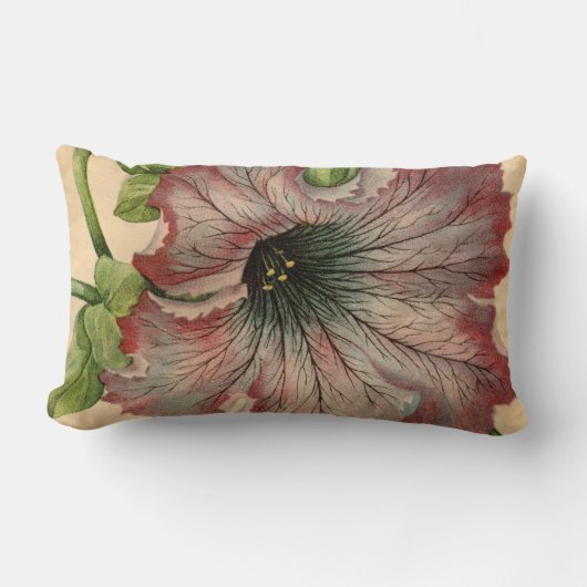 ヴィンテージのペチュニアの種カタログ ランバークッション (正面)