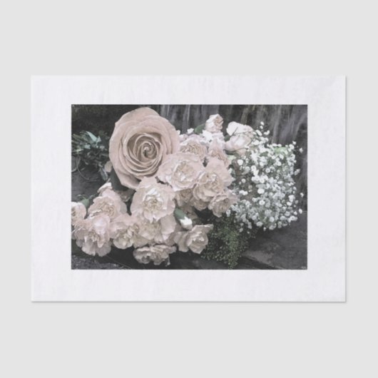 ヴィンテージのボトルのために大きさで分類される白い水彩画のバラ 薄葉紙 (正面)