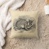 ヴィンテージのボブキャットの19世紀のボブ猫のオオヤマネコのイラストレーション クッション (ブランケット)