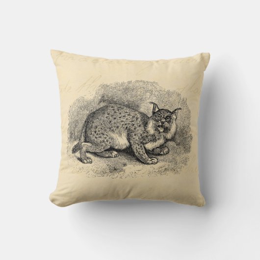 ヴィンテージのボブキャットの19世紀のボブ猫のオオヤマネコのイラストレーション クッション (正面)