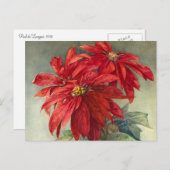 ヴィンテージのポインセチアのクリスマス シーズンポストカード (正面/裏面)