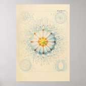 ヴィンテージのポスター ポスター (正面)