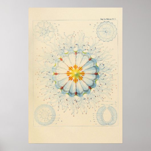 ヴィンテージのポスター ポスター (正面)