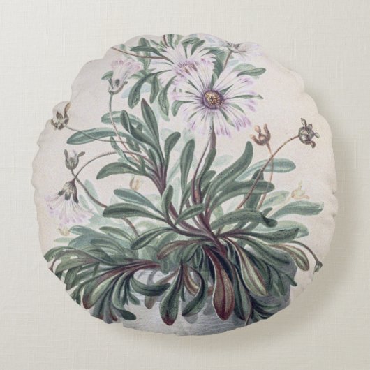 ヴィンテージのポット ラウンドクッション (正面)