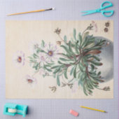 ヴィンテージのポット 薄葉紙 (クラフト)